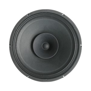 PA Speaker – 12″ ACR 1225 NEW