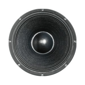 PA Speaker – 18 ACR Deluxe 18″ 18737 DELUXE