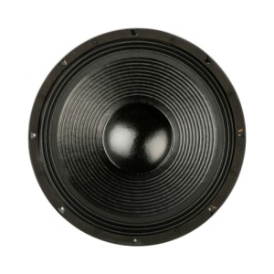 PA Speaker – 18” ACR Deluxe PA-18700 MK1
